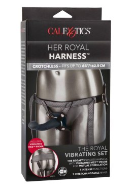 The Royal Vibrating Set Grey